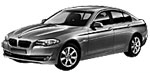 BMW F10 P393B Fault Code